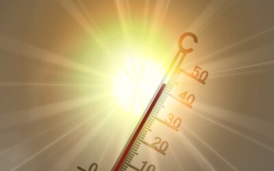 Nadchodzą upały – sprawdź, jak bezpiecznie przetrwać wysokie temperatury